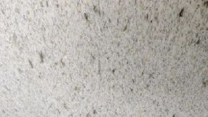 Ossian White Granite Slab