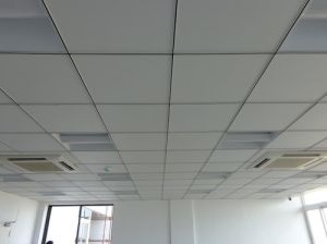 Grid False Ceiling Services