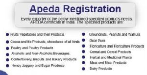 APEDA Registration