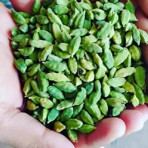 Cardamom