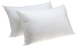 Cotton Pillows