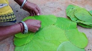 Siali leaf Plate