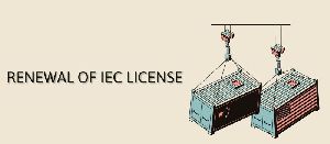 Renewal for Import & Export Code License Services