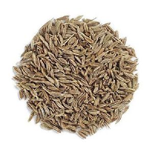 Brown Cumin Seeds