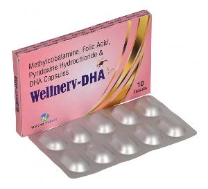 Wellnerv DHA Capsules