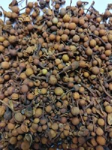 Nagkesar Seeds