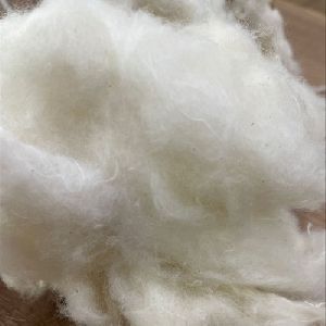 White Processed Cotton