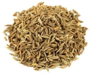 Cumin Seeds