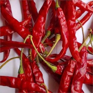 Teja Red Chilli