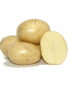 Badshah Potato