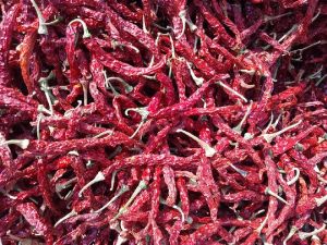 Dried Red Chili