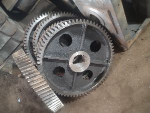 Oil Expeller Gear