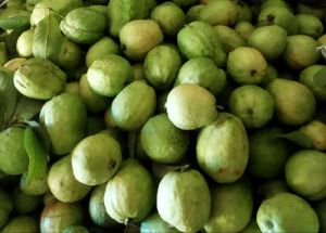 Fresh Guava