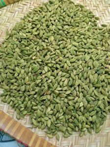 Cardamom 7mm