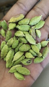 Cardamom 8MM