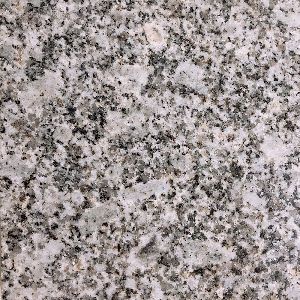 S White Granite Slab