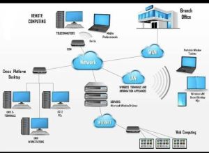 LAN&WiFi Network