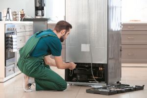 Double door refrigerator fridgerepair