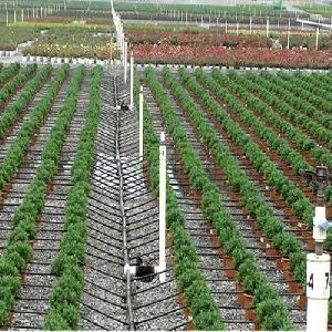 Drip Irrigation System