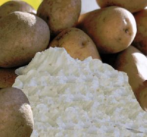 Potato Starch