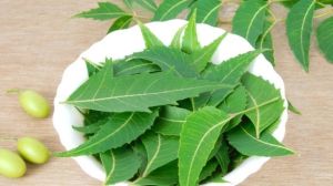 Preservative Free Neem Juice