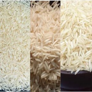 1509 Basmati Rice