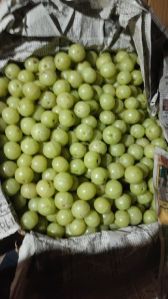 Green amla