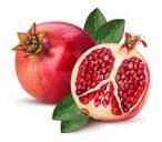 pomegranate fruit exporter