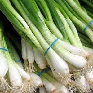 Fresh Green Onion