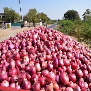 A Grade Fresh Onion