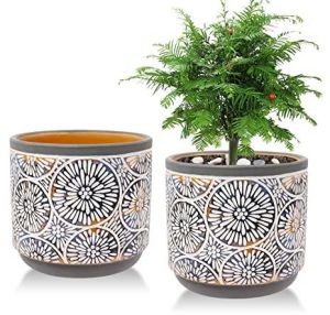 Ceramic Printed Planters