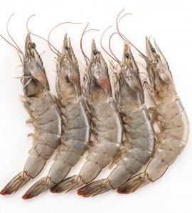 Fresh Jumbo Prawns