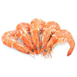 Fresh King Prawns