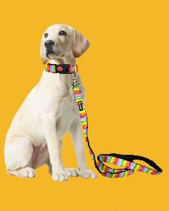 BFF Rainbow Heart Print Padded Leash & Collar