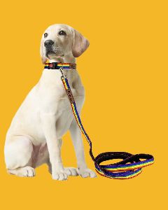 BFF Rainbow Padded Leash & Collar