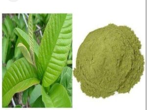 Guava Powder