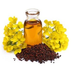 Natural Essential Oil Mustard