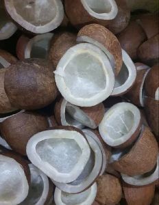 Copra Coconut