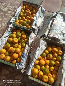 Nagpur Oranges