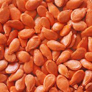 Ash Gourd Seed Coating Polymers