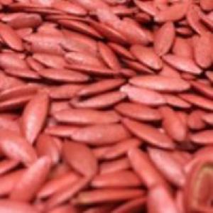 Cucumber Seed Coating Polymer