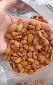 Gurbandi giri ( afghani badam )