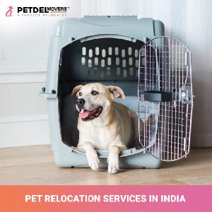 Domestic Pet Relocation