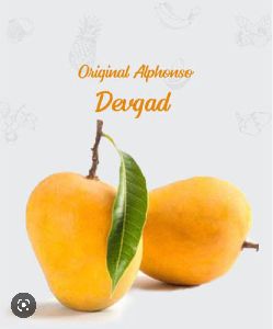 Original Alphonso mangoes 