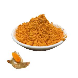 Synthetic Curcumin Powder