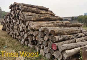 Tinsa wood logs