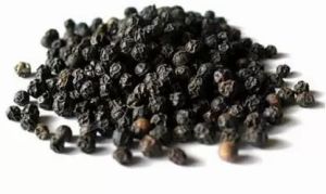 Black Pepper Seeds