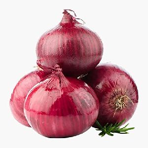 Red Onion