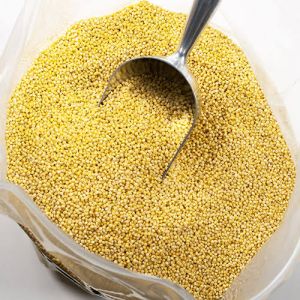 Yellow Bajra Seeds