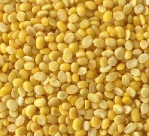 Yellow Mung Beans